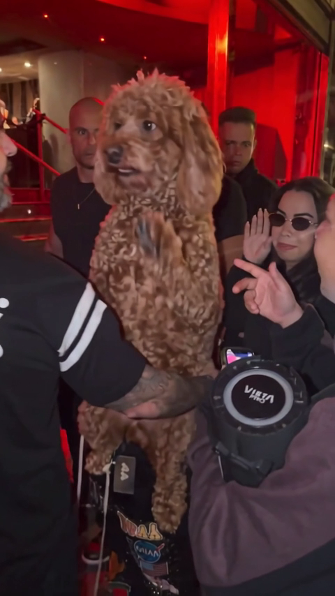 Pet on the mic